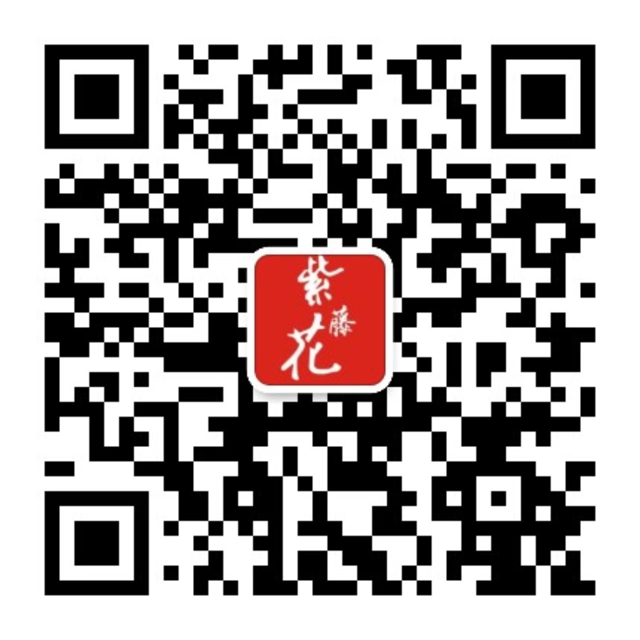 公众号「紫藤花」二维码